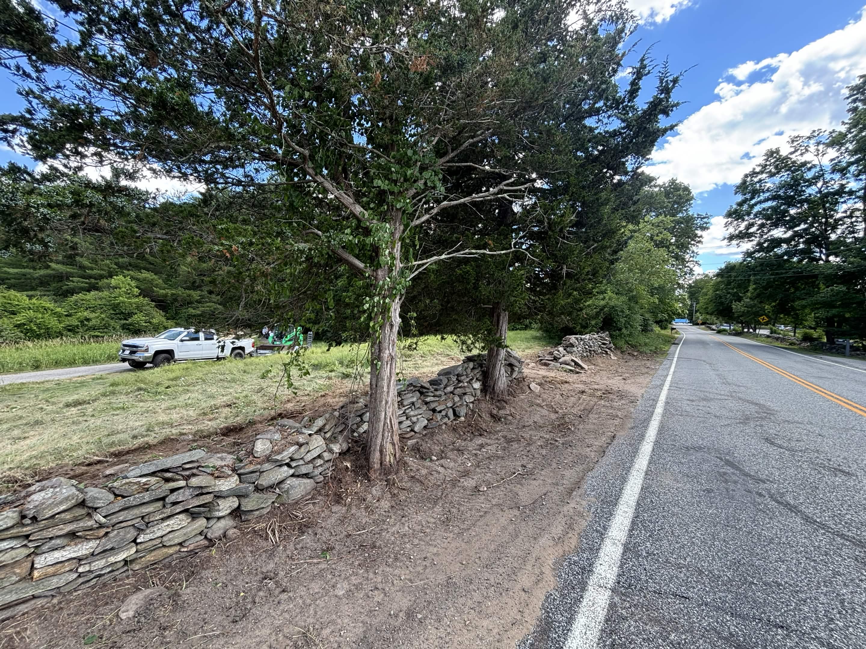 Property edge cleared — safe and usable after brush removal